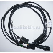 Жгут задних фонарей